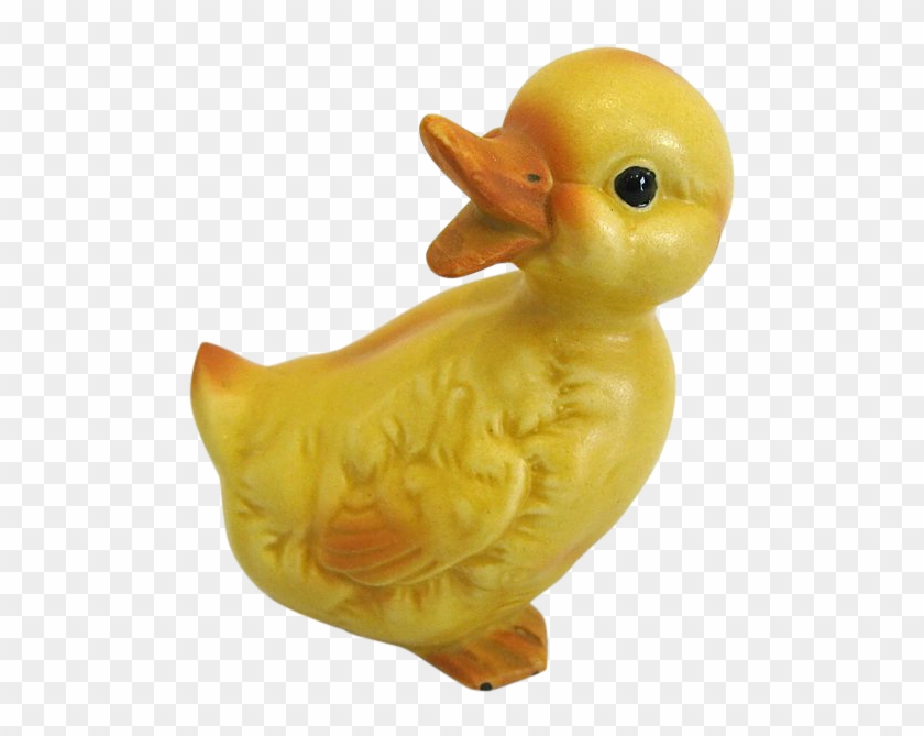 Duck #793125