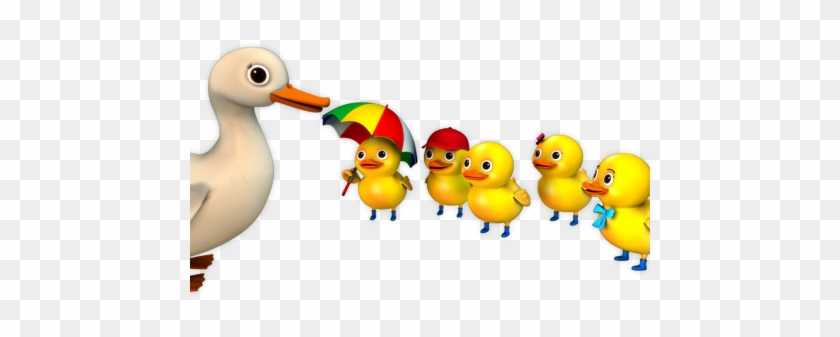 Ducks-460x300 - Five Little Ducks Png #793184