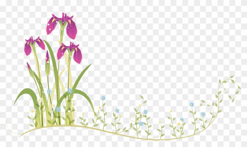 Border Flowers Moth Orchids - Flower Frame #793230