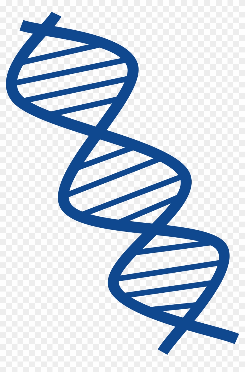 Clipart Of Dna, Genes And Gene - Biology #793443