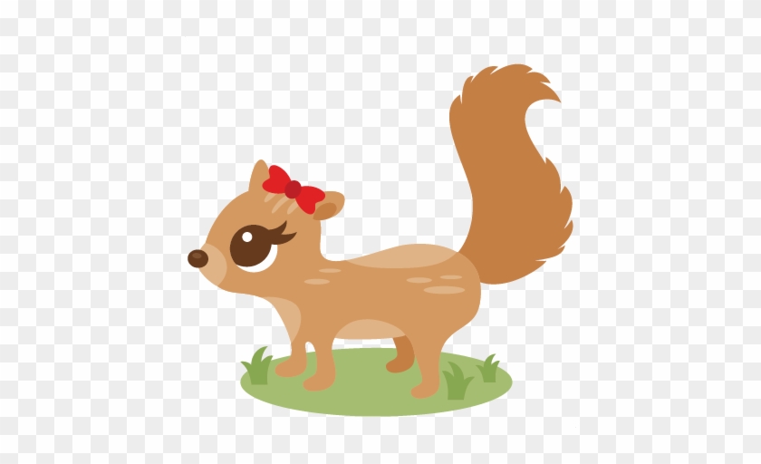 Girl Squirrel - 2016 - 07 - - Female Squirrel Clipart #793458