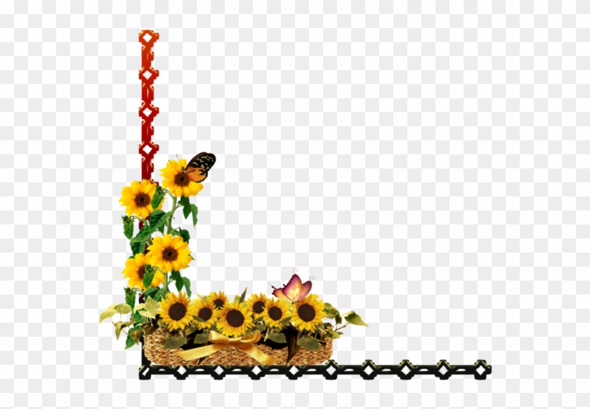 Coins - Sunflower #793475