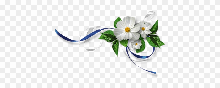 What's - Flower With Ribbon Png #793501