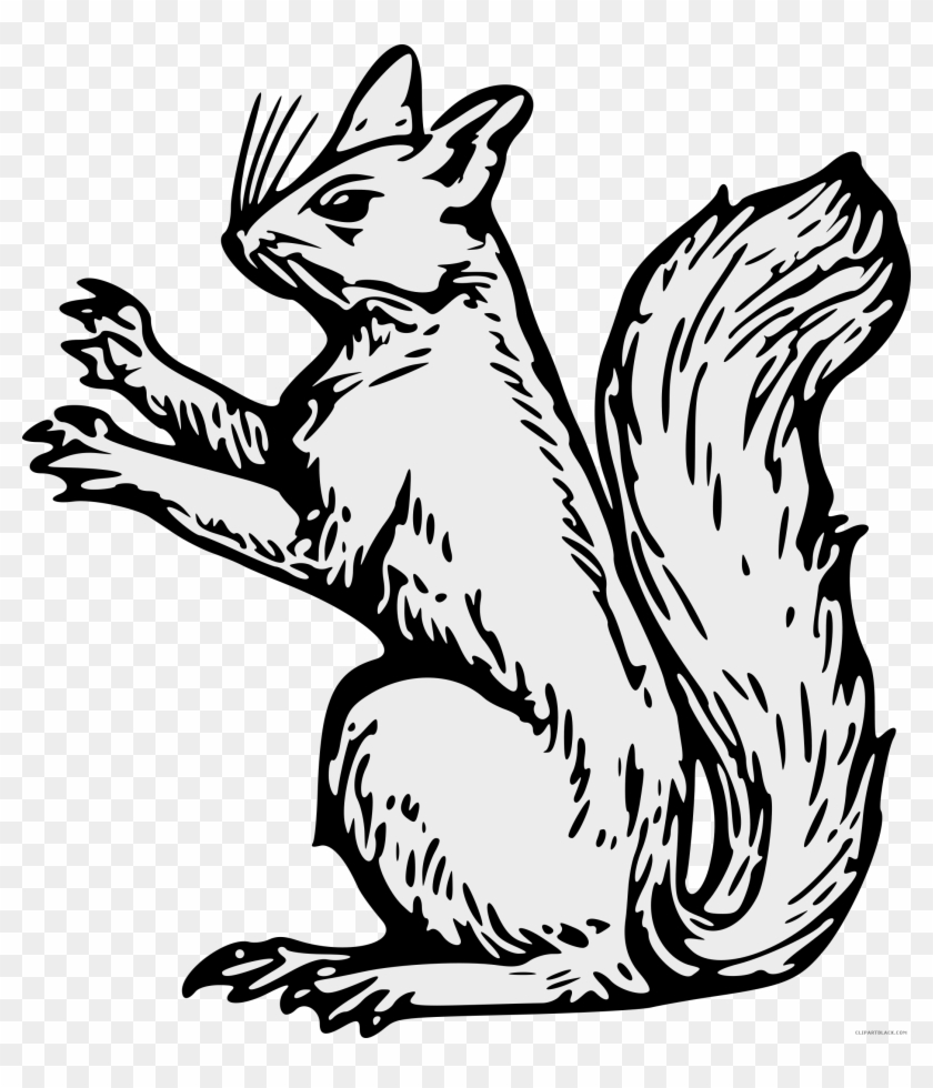 Squirrel Animal Free Black White Clipart Images Clipartblack - Squirrel Clip Art #793507