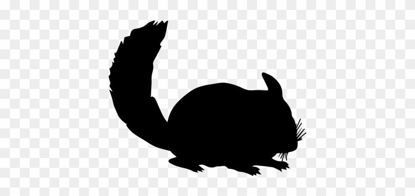 Chinchilla Mammal Animal Silhouette Vector - Chinchilla Silhouette #793534