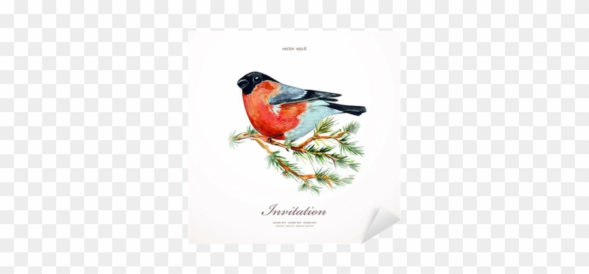 Watercolor Painting Bullfinch On Branch Pine - Снегирь Акварелью #793547