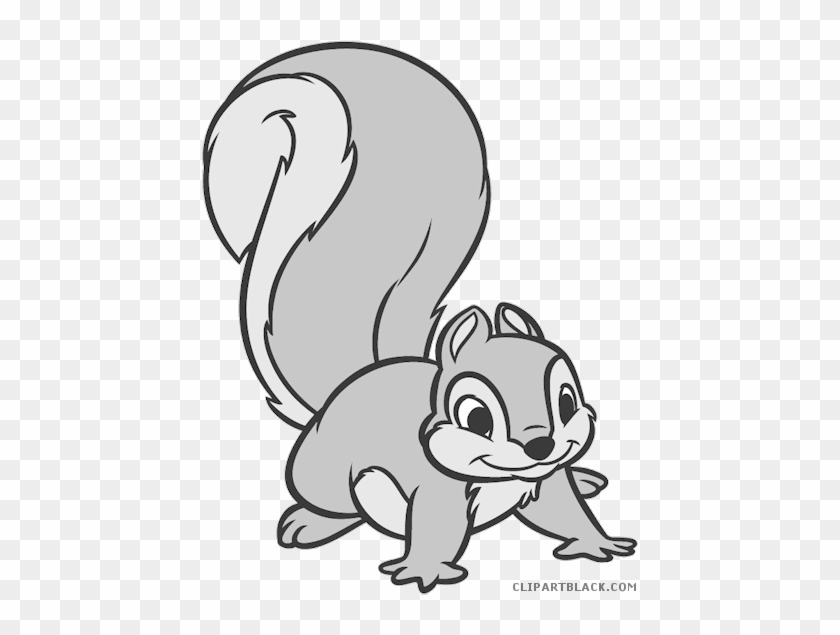 Grey Squirrel Animal Free Black White Clipart Images - Animales De La Blanca Nieves #793548