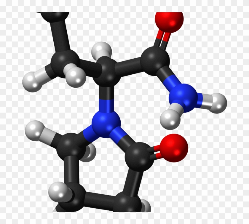 Mep Loss With Levetiracetam - Uracil Definition Biology #793564