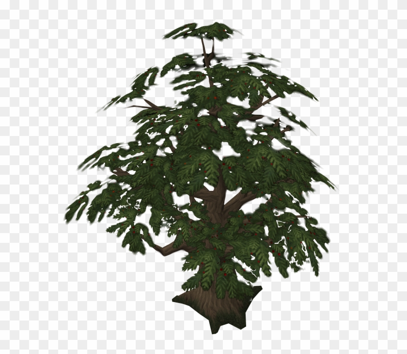 No - Yew Tree Runescape #793584