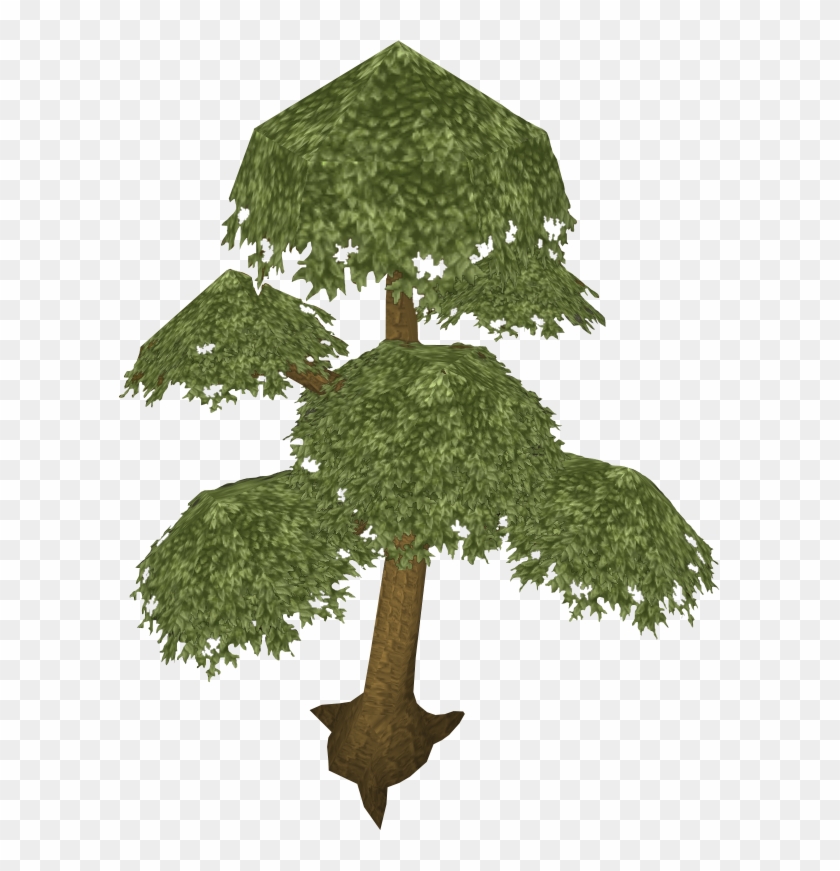 Yew Tree - Yew Tree #793616