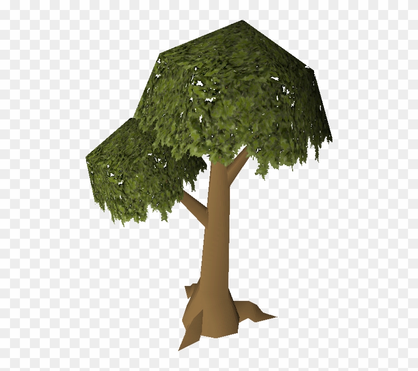 Tree - Osrs Normal Tree #793625