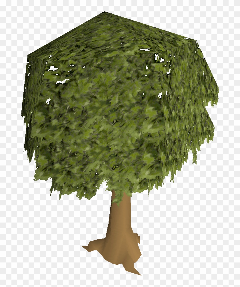 Oak Tree - Runescape Tree #793628