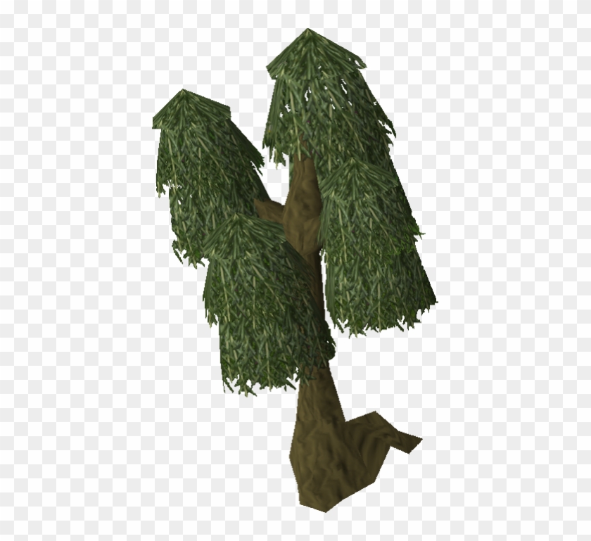 Black Oak Casino - Runescape Willow Tree #793633