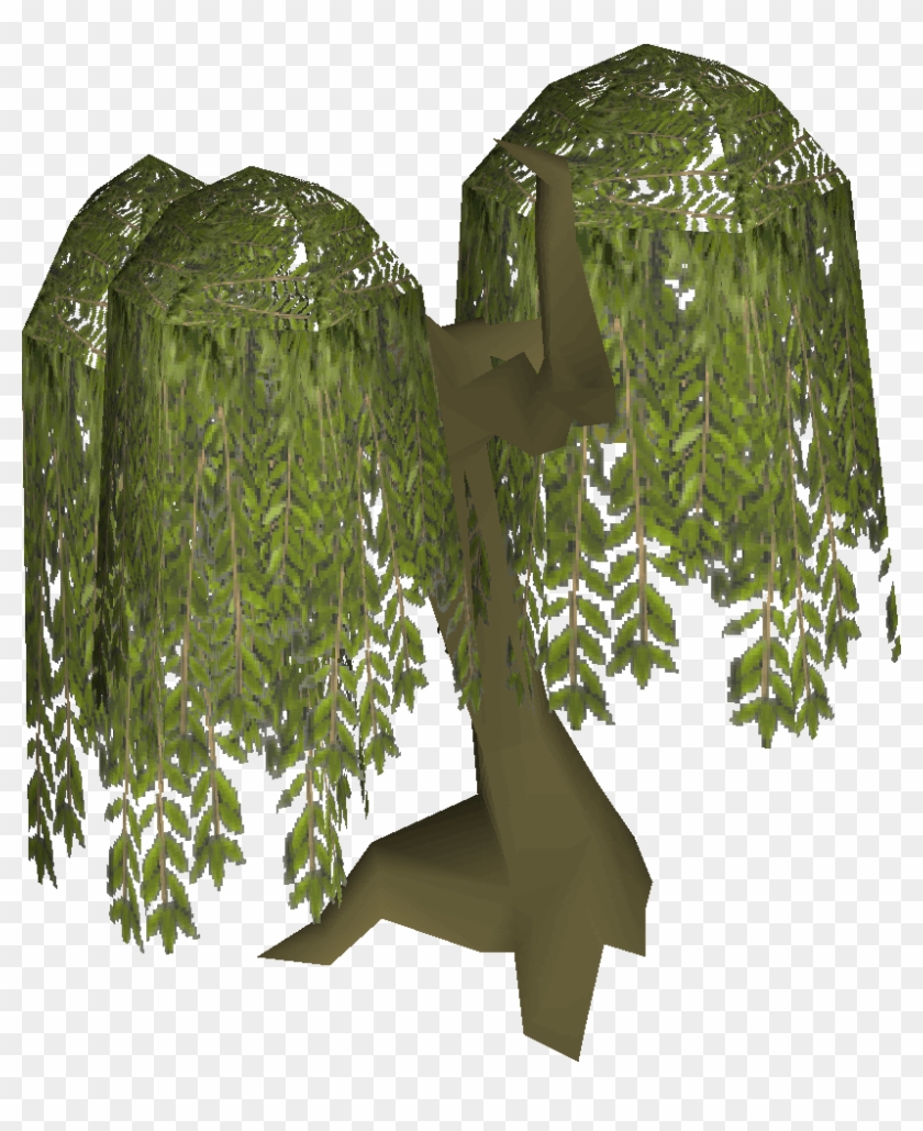 Willow Tree - Willow Osrs #793634