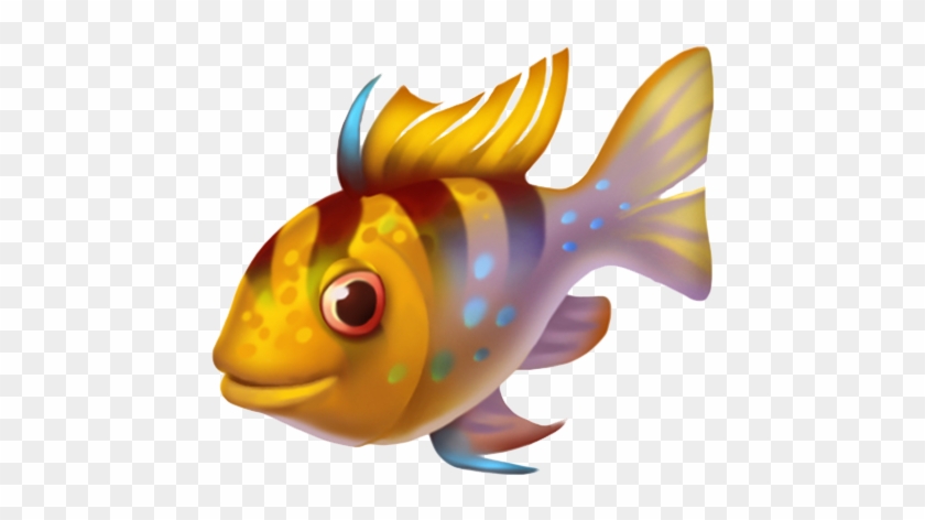 Carassius Auratus Fish - Carassius Auratus Fish #793689