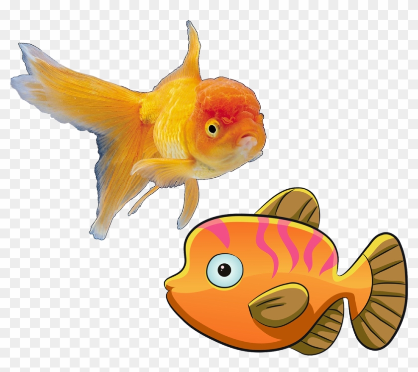 Deep Sea Fish Cartoon - Deep Sea Fish Cartoon #793736