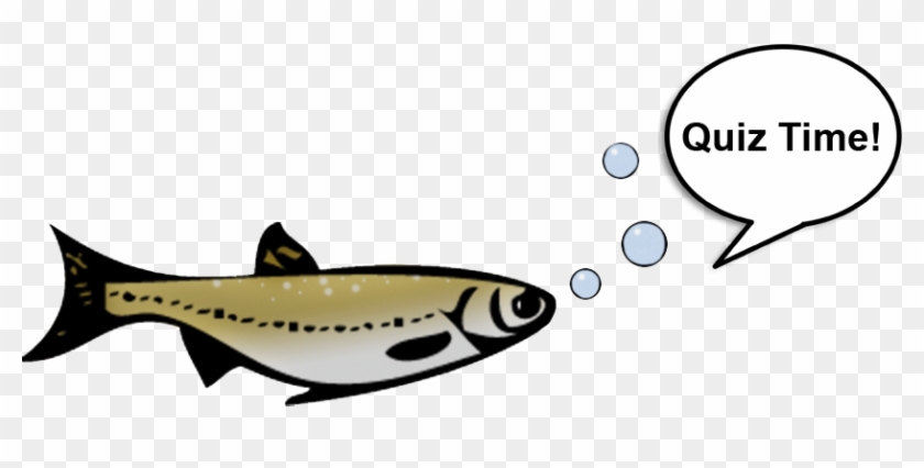 Test Your Knowledge - Oily Fish #793746