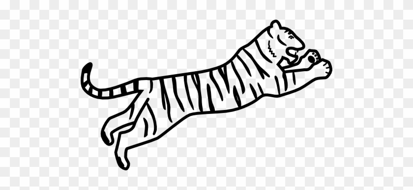 Tiger Catching - Bengal Tiger Easy Drawing #793811