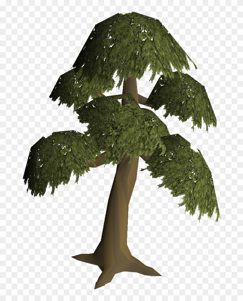 Yew Tree Built - Old School Runescape #794129