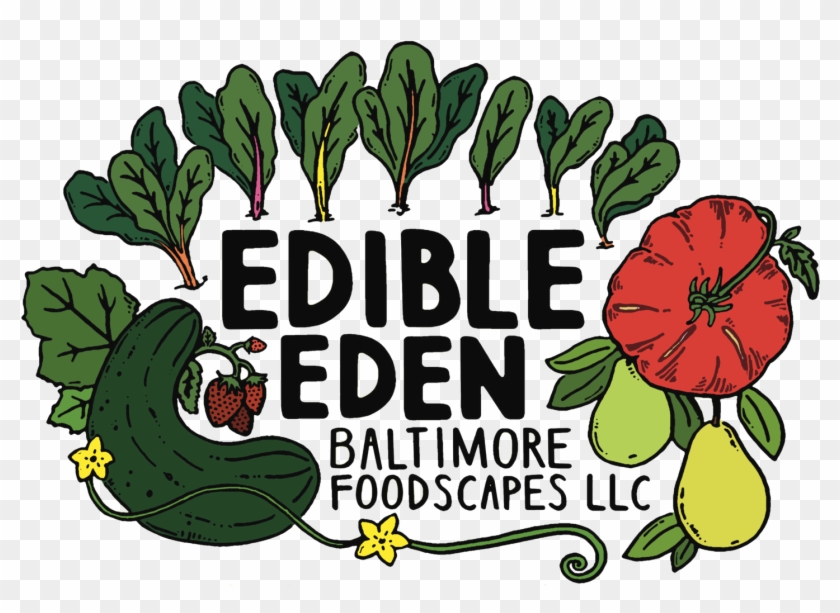Edible Eden Wtmd - Color #794038