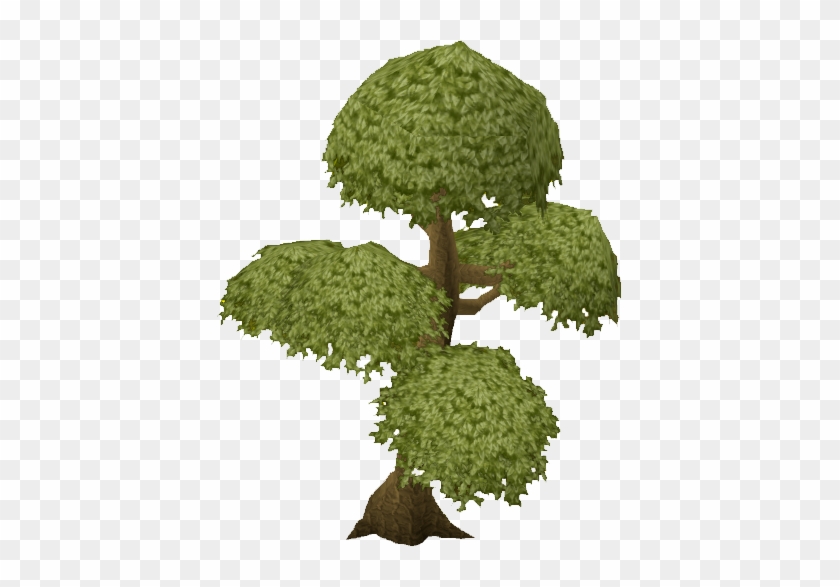 Yew Tree Runescape #794155