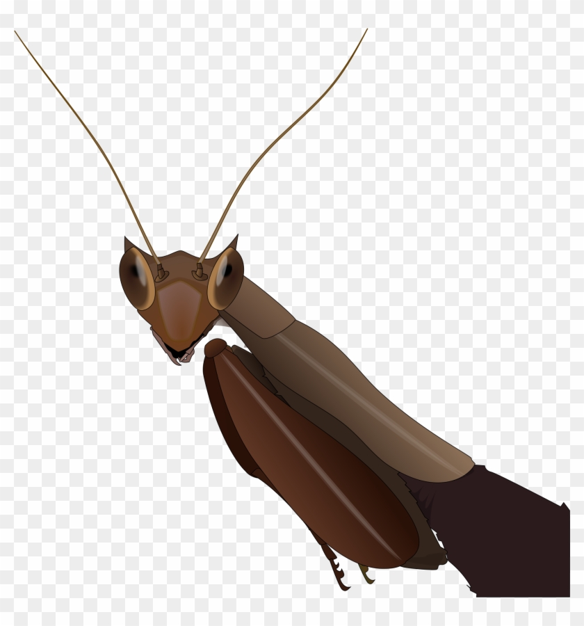 Open - Clip Art #794250