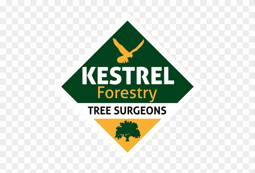 Kestrel Forestry #794398
