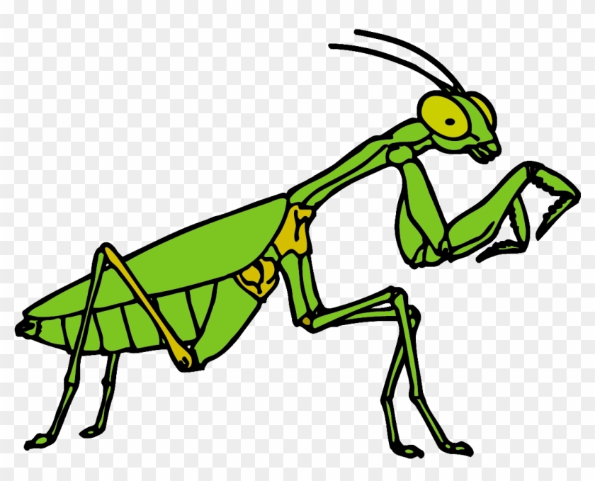 For Those Looking For The Achievements Worked On At - Free Clipart Praying Mantis #794768