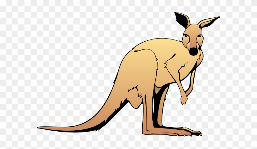 Clipart Kangaroo Clipart - Clip Art Wild Animal #794997