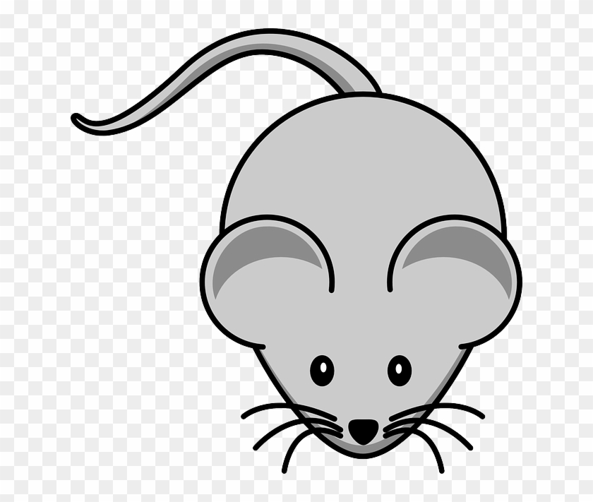 Whiskers Mouse, Simple, Cartoon, Tail, Rodent, Whiskers - Cartoon Of Mouse #795294