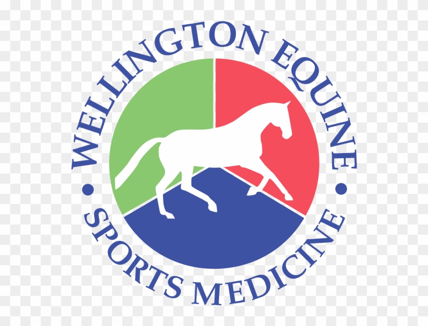 Contact Wellington Equine Sports Medicine For A Pre-purchase - Indonesian Institute Of The Arts, Yogyakarta #795327