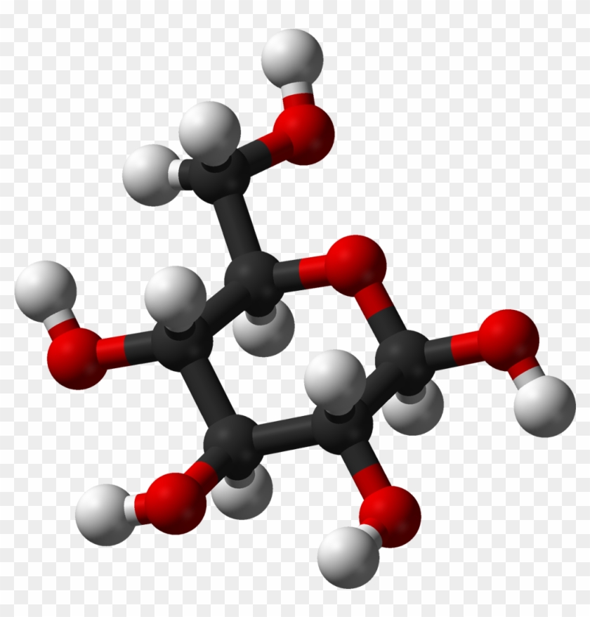 Glucose Metabolism And Why It's Important - Glucose Metabolism And Why It's Important #795331