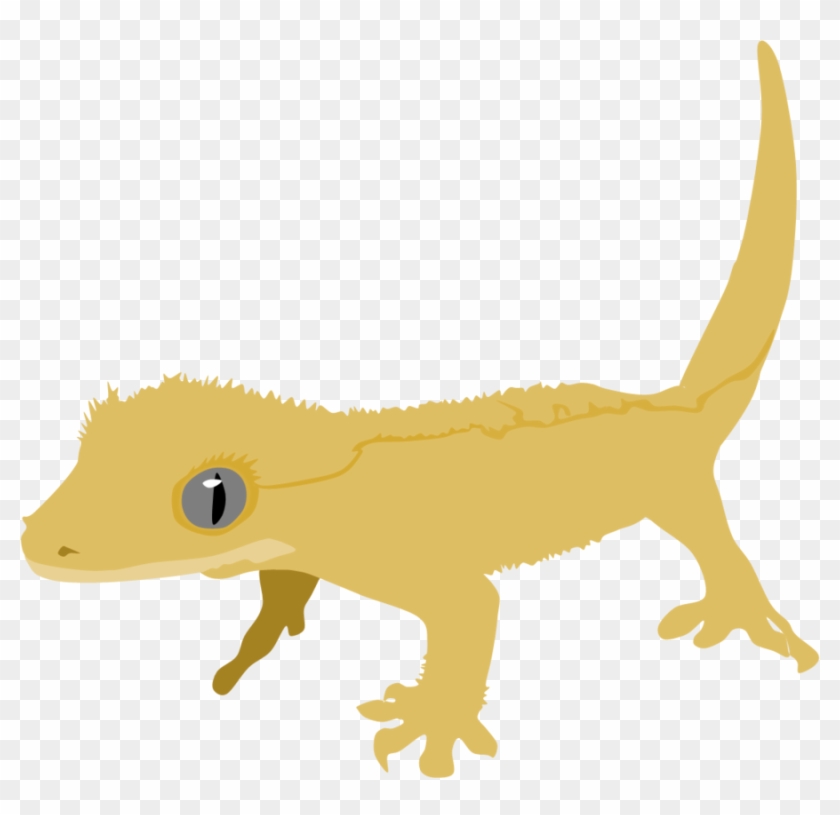 Crested Gecko By Adamzt2 - Crested Gecko Clip Art #795435