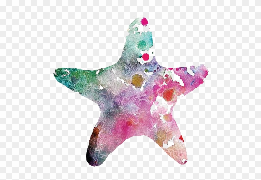 Starfish Watercolor Painting Drawing - Starfish Watercolor Transparent #795446