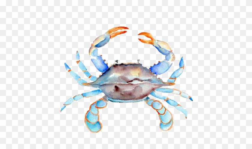 Crab Cake Watercolor Painting Chesapeake Blue Crab - Blue Crab Clip Art #795596