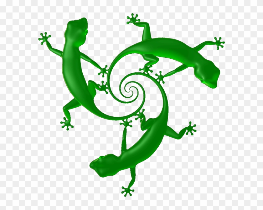 Gecko Tail Holdings Inc Sa - Common Chameleon #795808