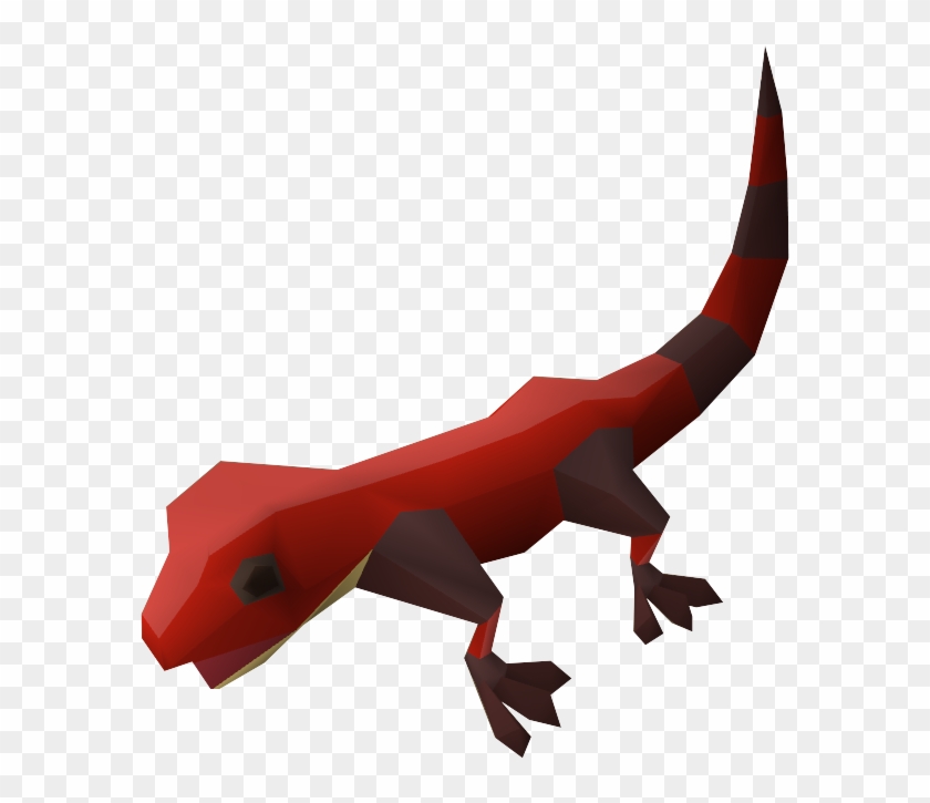 Gecko Pet - Wiki #795819