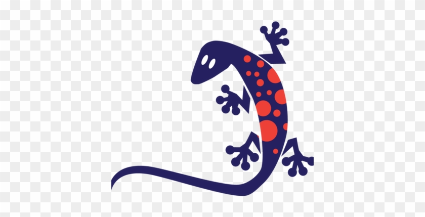 Iq Gecko - Gecko #795893