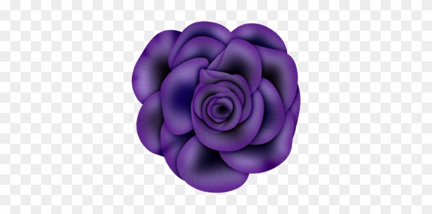 Purple Rosesart - كوب شاى وقهوة متحركة #796017
