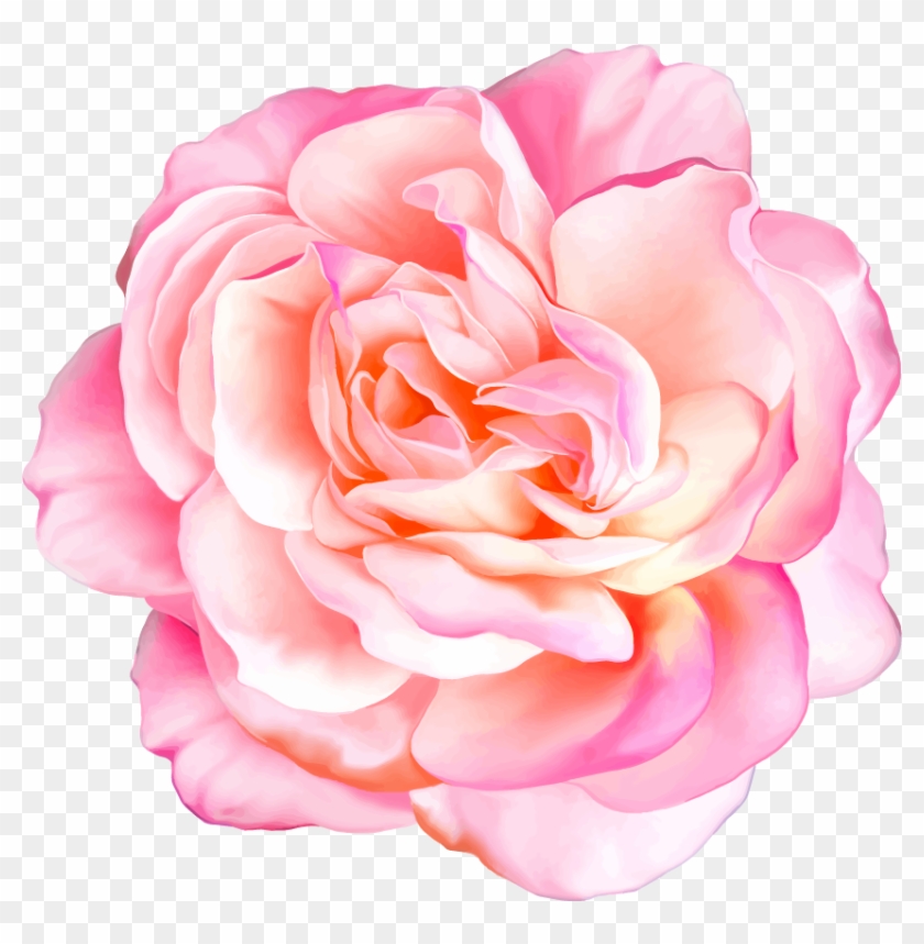 Png Клипарт "beautiful Flowers" - Realistic Flower Vector #796045