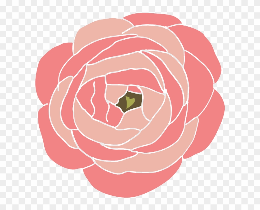 Clip Arts Related To - Ranunculus Clipart #796053