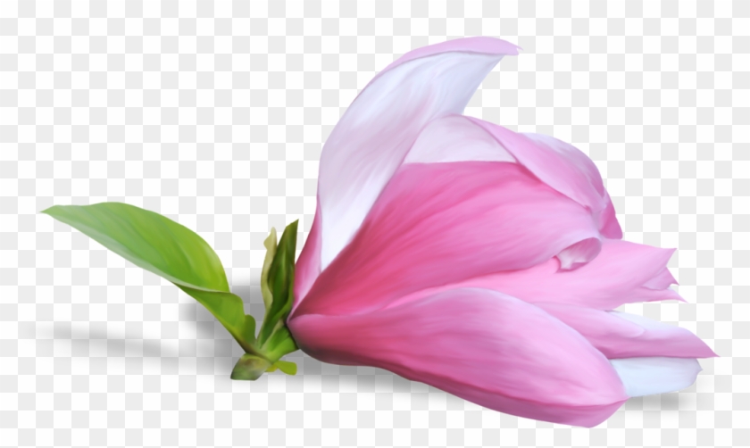 Beautiful Flower On A Transparent Background - Цветы Весенние Без Фона #796087