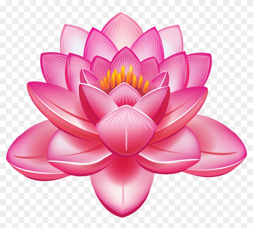 Pink Rose Clipart Lily - Lotus Flower Png #796125
