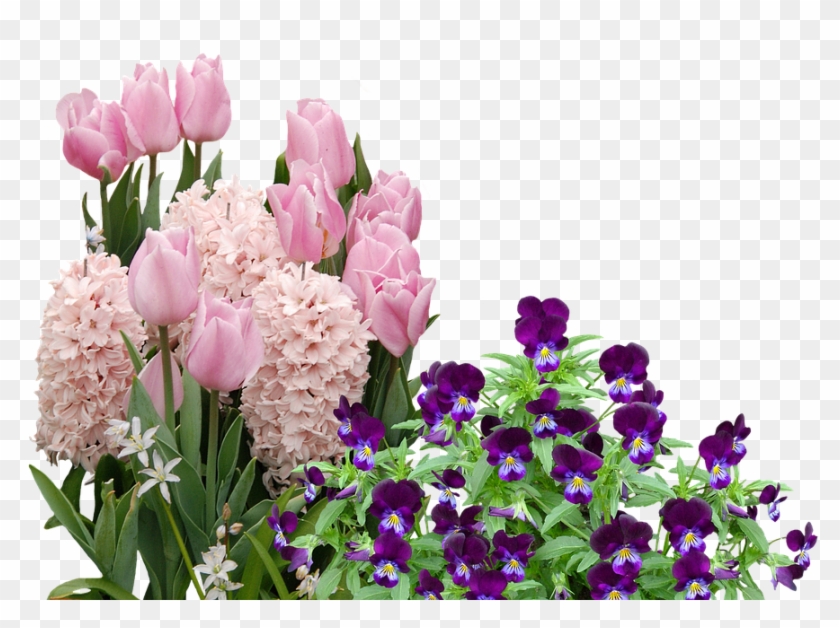 Spring, Tulips, Easter, Flower, Flowers, Spring Flower - Cafepress Samsung Galaxy S8 Plus Case #796126