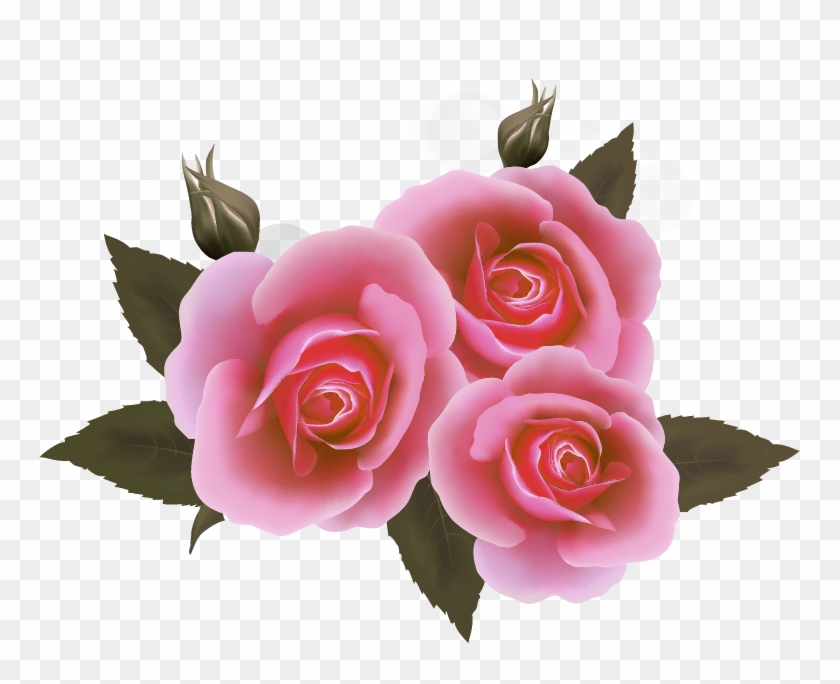 Png Клипарт "beautiful Flowers" - Rosas Cor De Rosa Png #796150