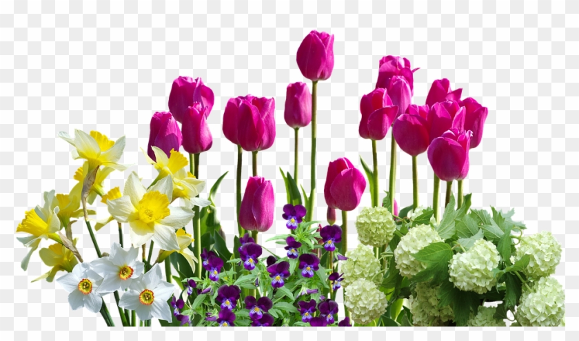 Spring, Daffodils, Tulips, Spring Flowers, Hydrangeas - Cafepress ! Samsung Galaxy S8 Case #796167