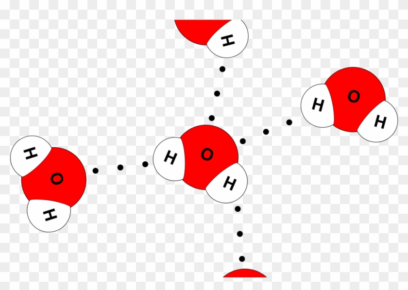 Water Molecule Model #796669