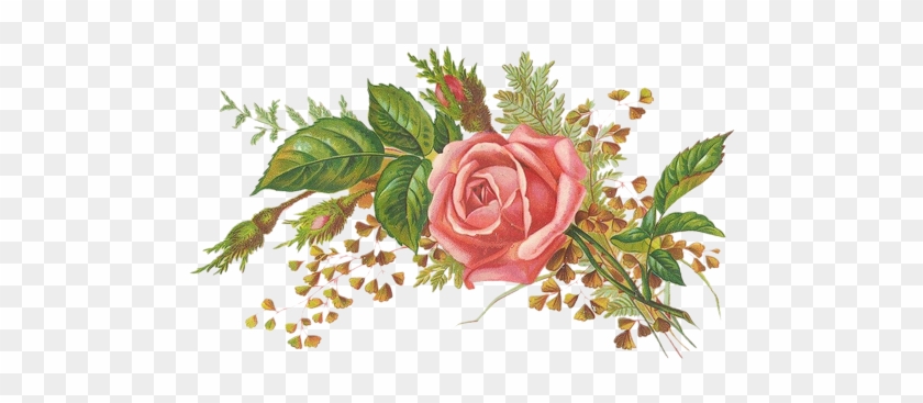 Virág Képek Háttér Nélkül, Átlátszó Hátterű Png Képek, - Zazzle Girly Rosa Mit Blumenpersonalisiertes Barely #796681