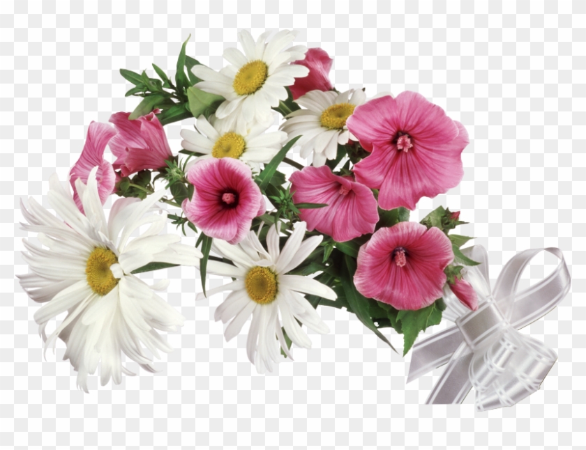 Virág Képek Háttér Nélkül, Átlátszó Hátterű Png Képek - Ruchome Gify Na Poniedziałek #796689