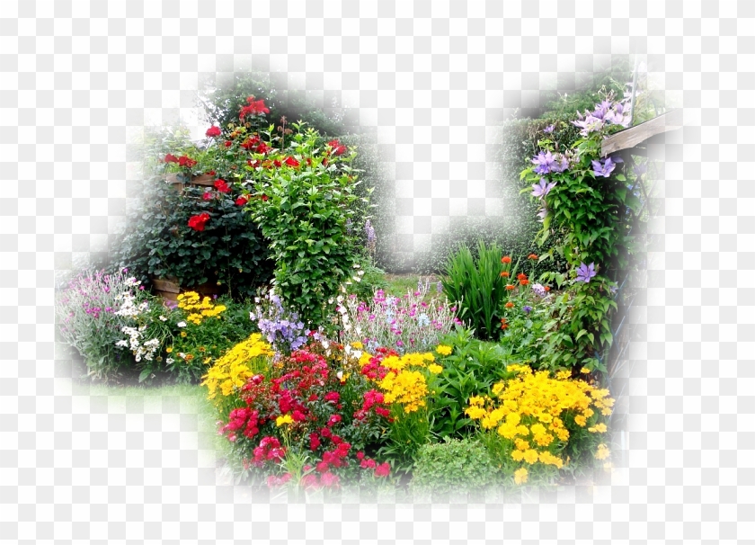   Átlátszó Hátterű Képek #796716